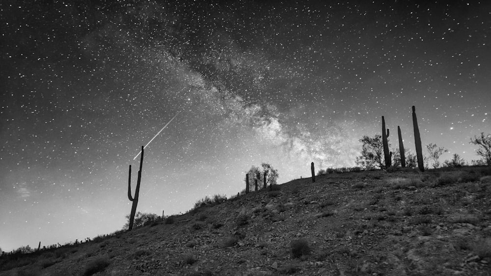 foto em tons de cinza de turbinas eólicas no campo de grama