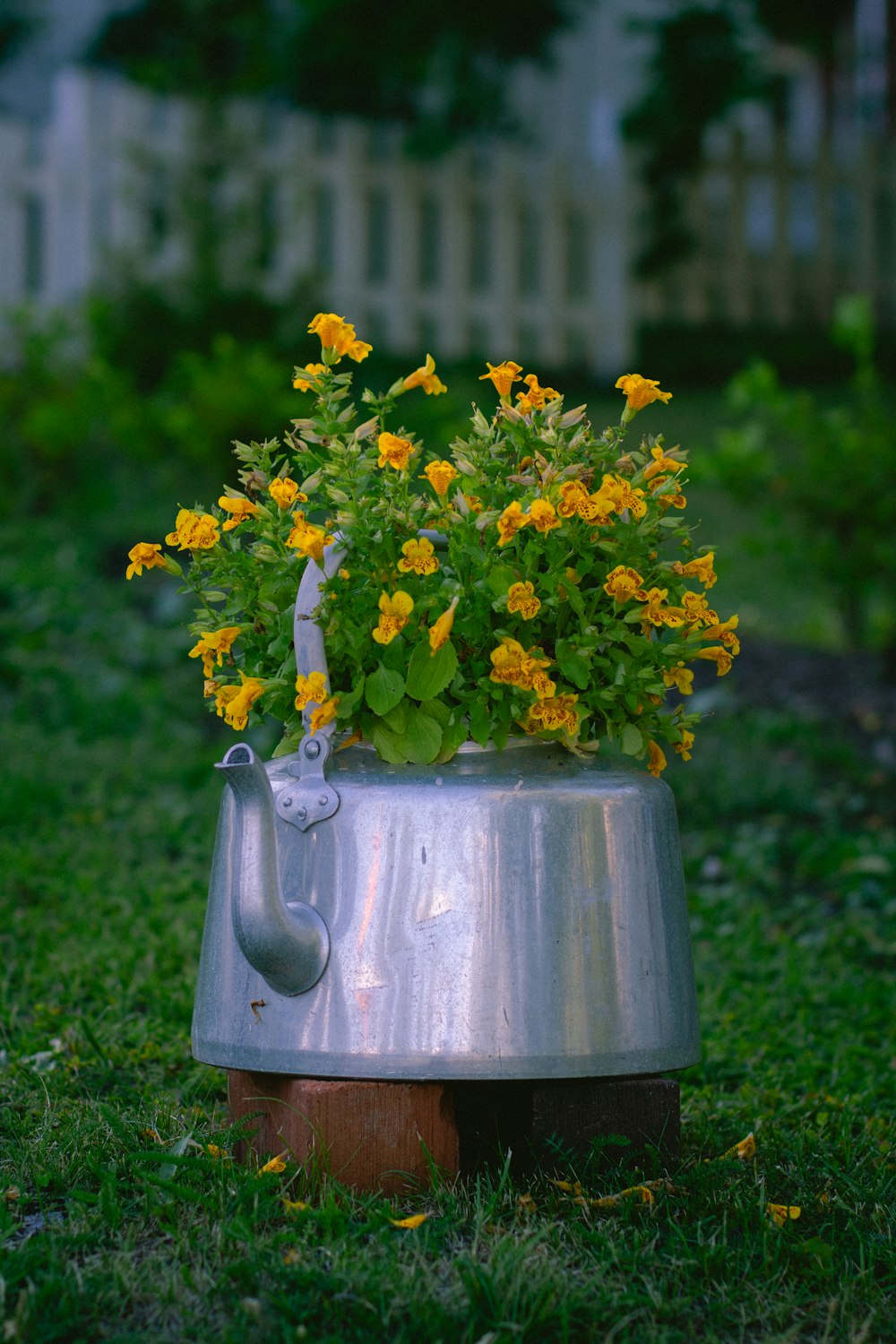 fleurs jaunes dans un vase gris sur un champ d’herbe verte