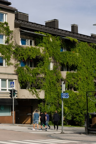 people walking on sidewalk near green trees and buildings during daytime