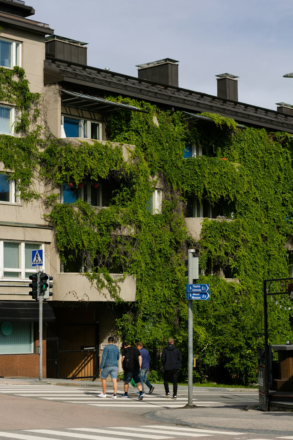 people walking on sidewalk near green trees and buildings during daytime