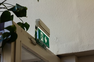 An emergency exit sign mounted above a door with an arrow and figure indicating the direction of escape. The sign is illuminated, and there are green leaves from a plant partially visible on the left side. The wall and ceiling are painted white, contrasting with the dark green sign.