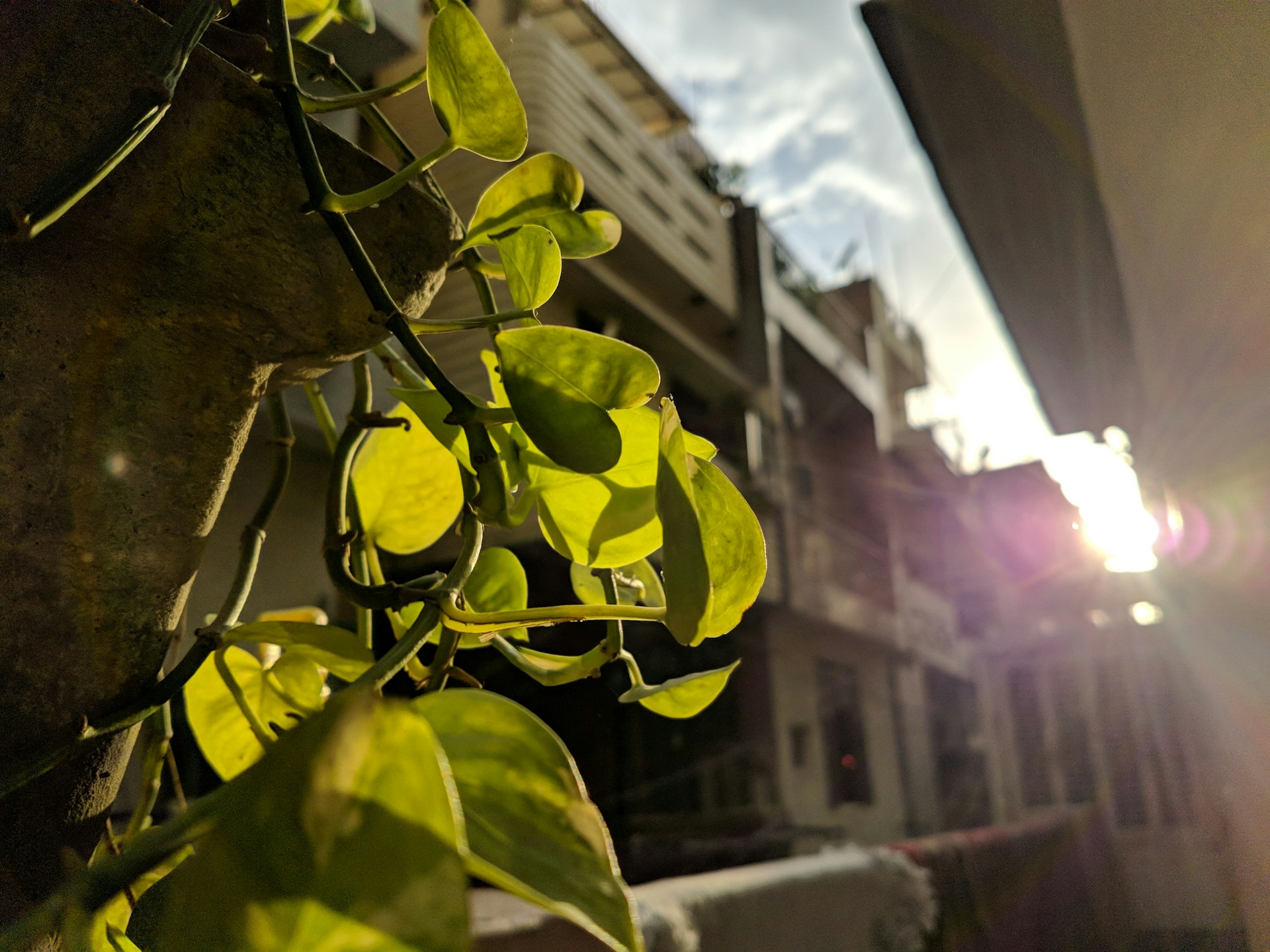 woman wearing yellow long-sleeved dress under white clouds and blue sky during daytime