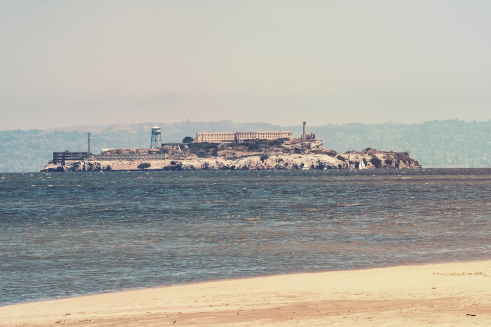 people on beach during daytime