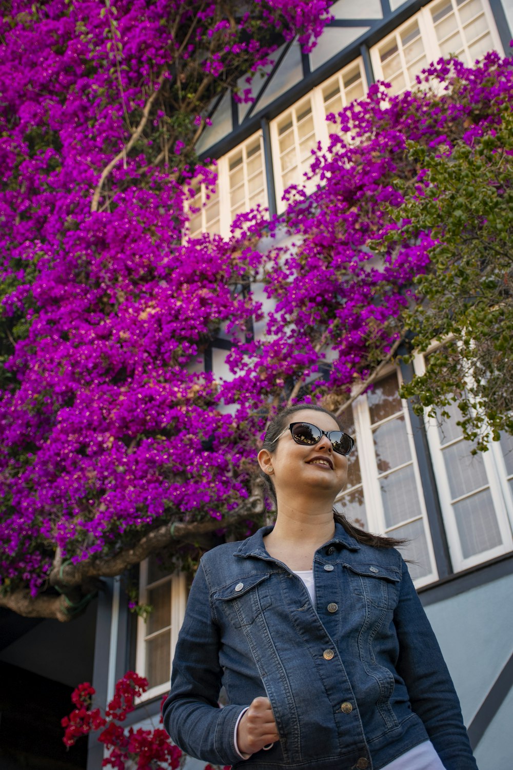 woman in blue denim jacket standing near purple flowers