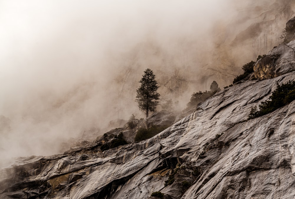 gray scale photo of foggy mountain