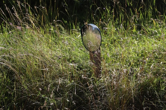 clear glass ball on green grass during daytime in Patornay France