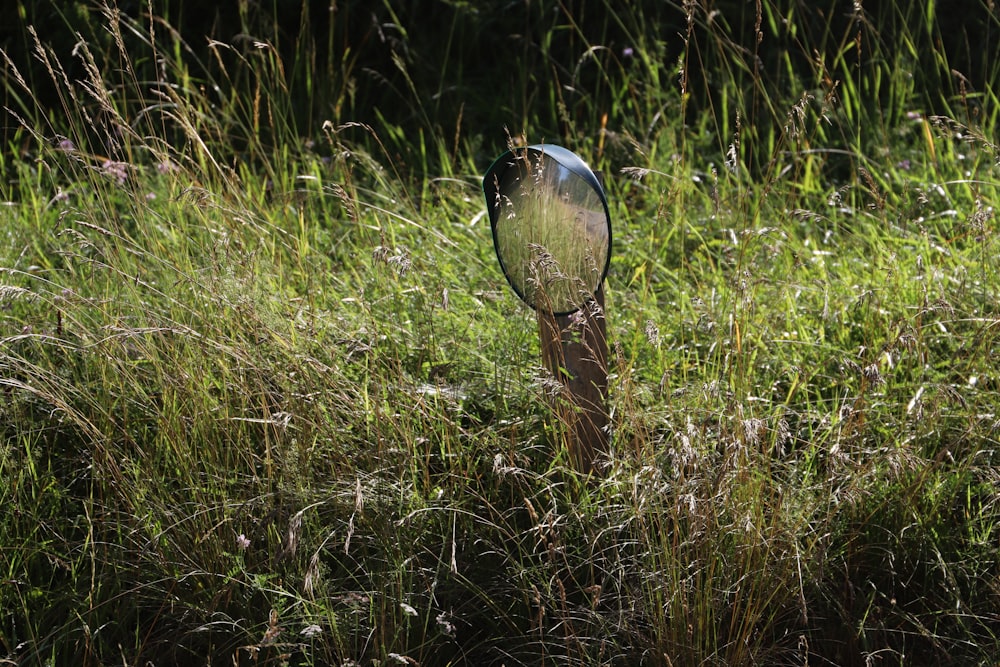 clear glass ball on green grass during daytime