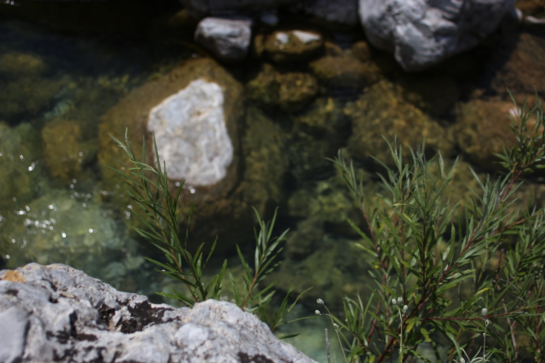 Natural landscape photo spot Tropojë Albania