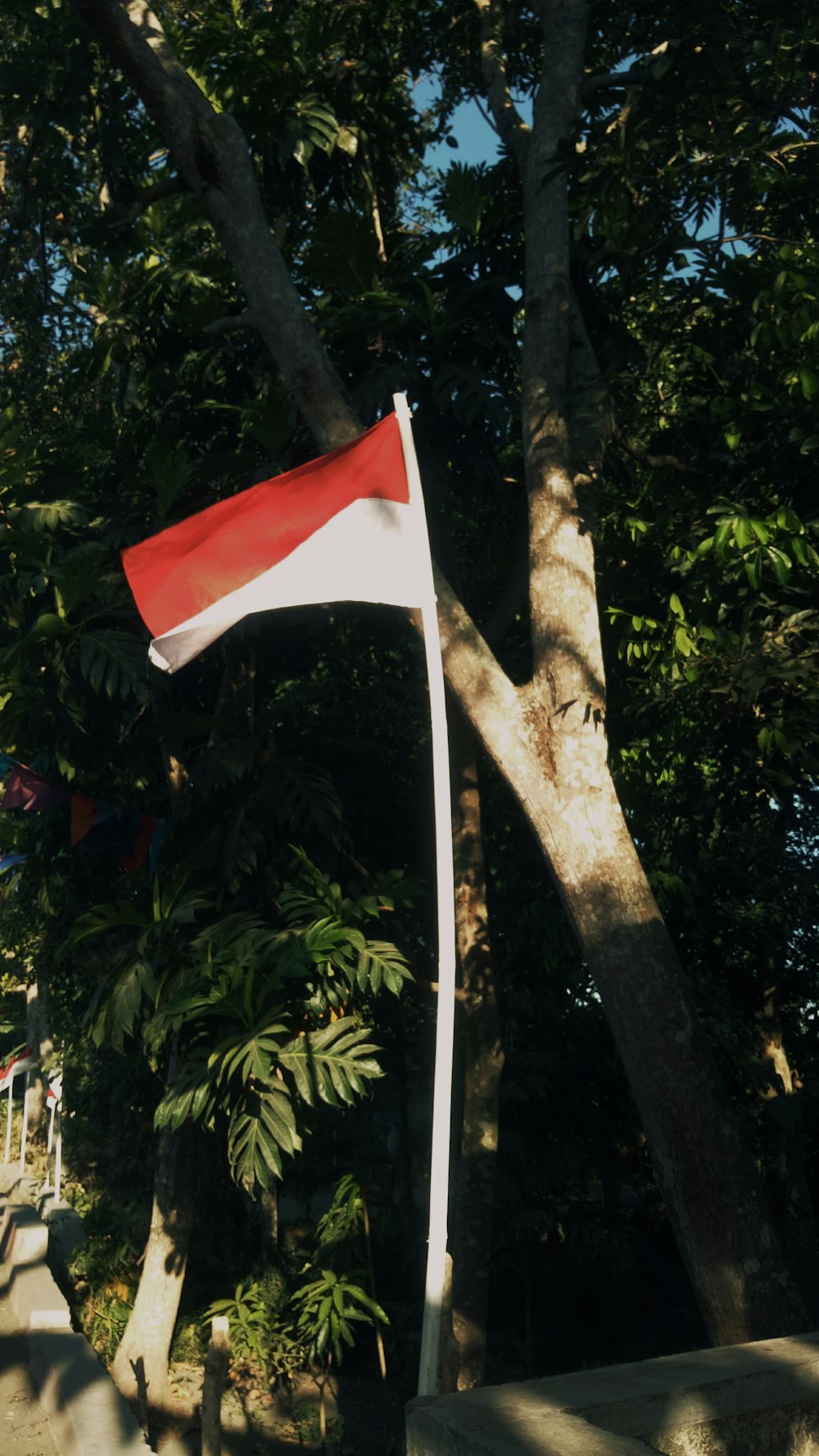 red and white flag on brown tree