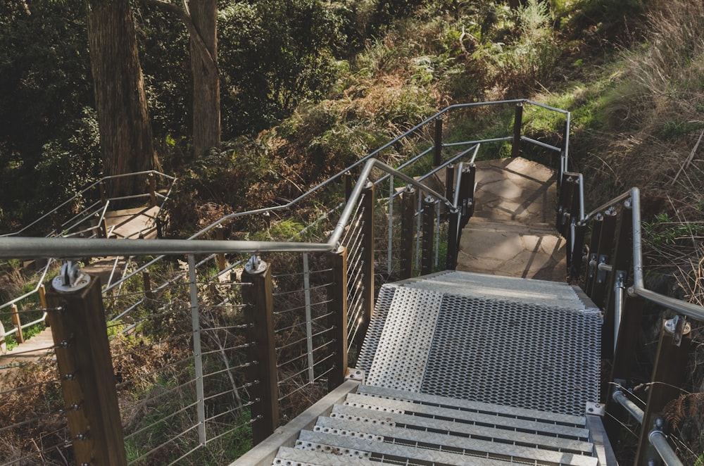 gray concrete staircase surrounded by trees