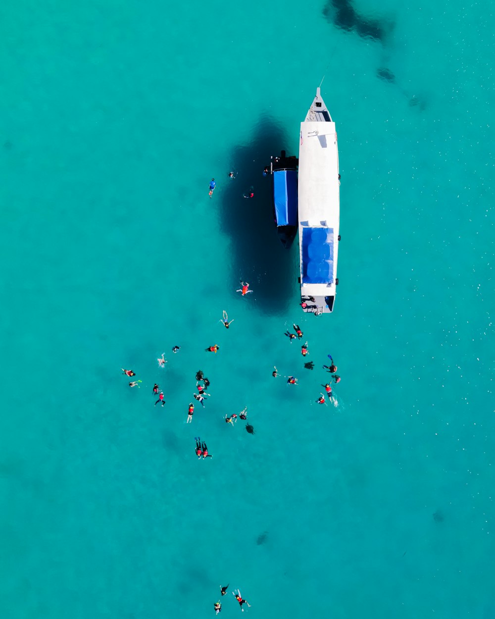 white and blue boat on body of water