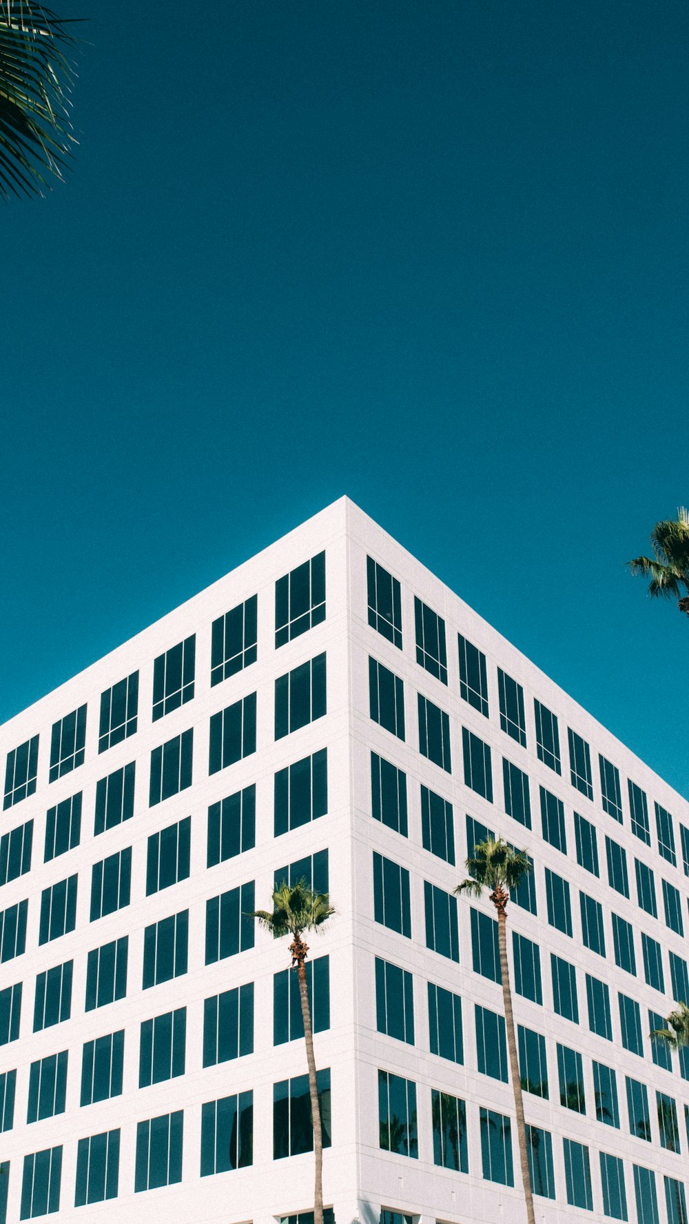 Weißes Betongebäude unter blauem Himmel tagsüber