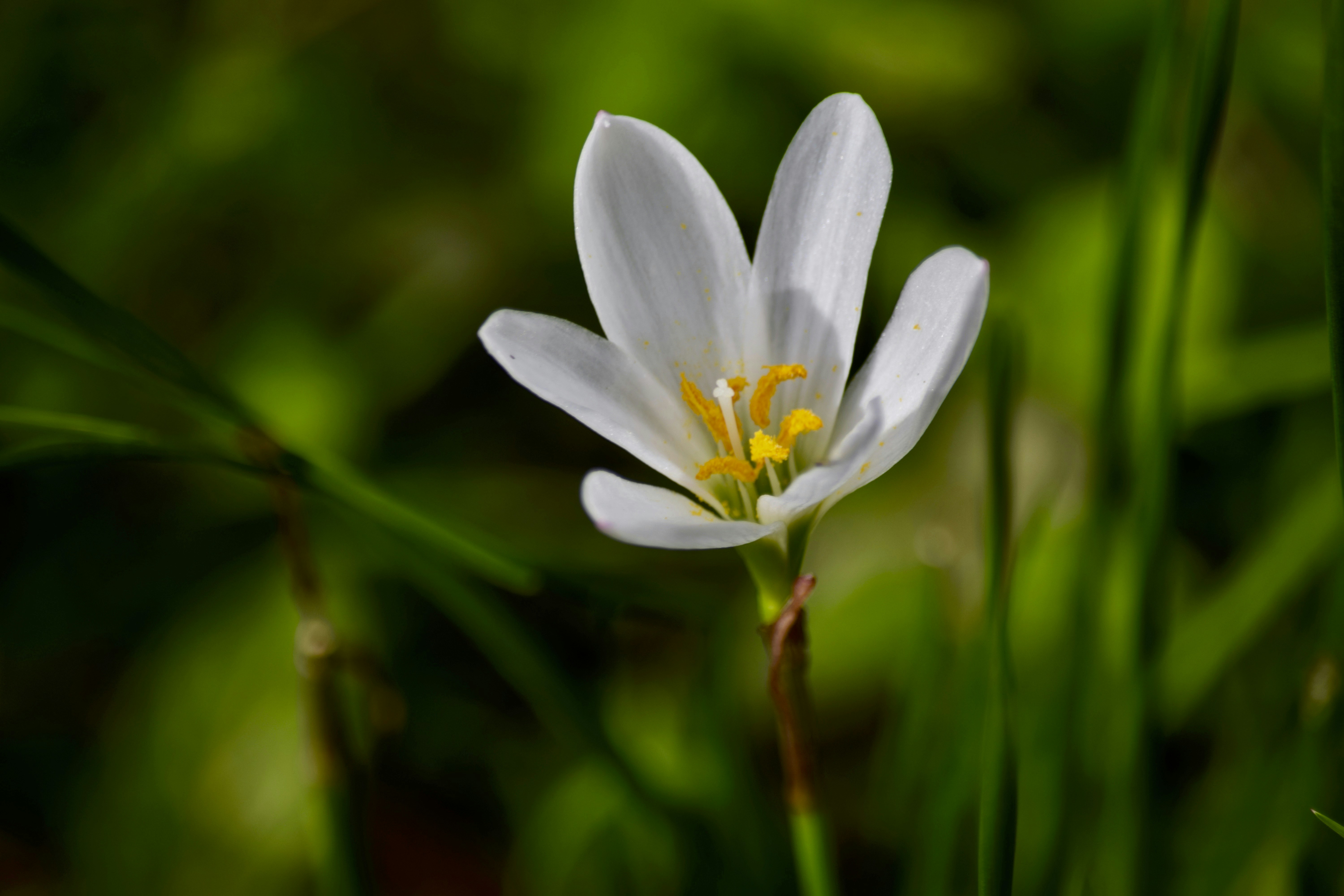 Photo by rrajputphotography