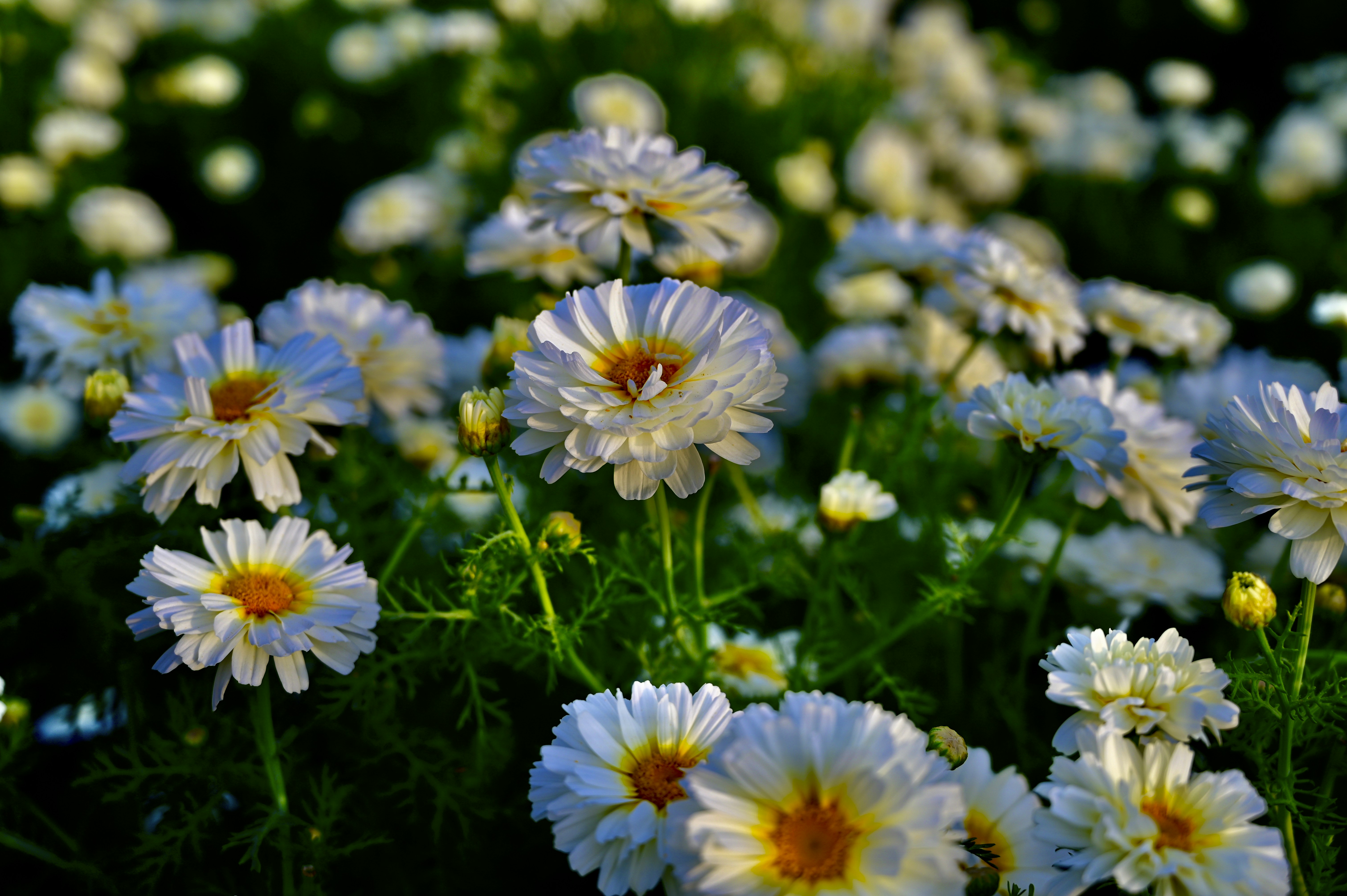 Photo by rrajputphotography