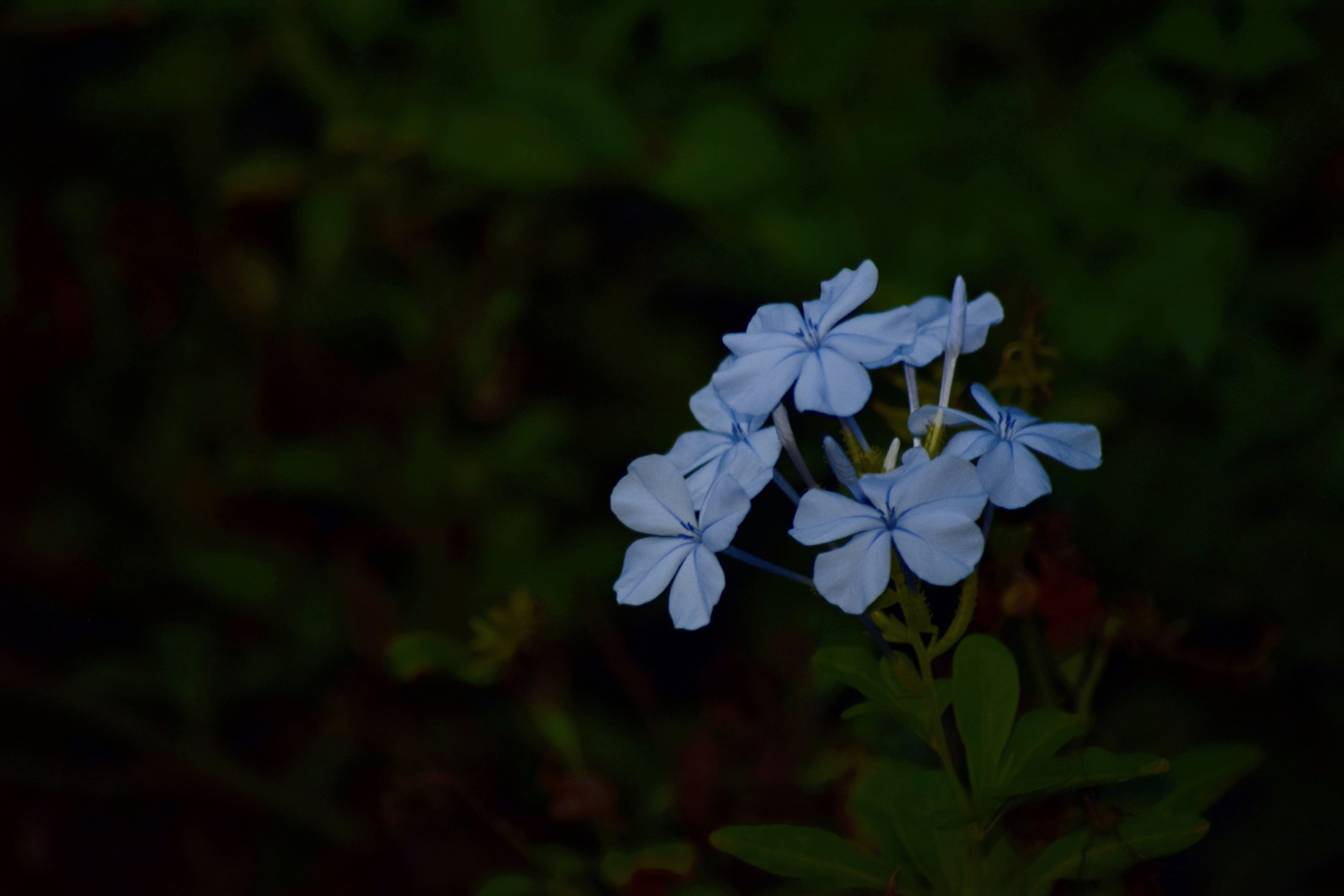 Photo by rrajputphotography