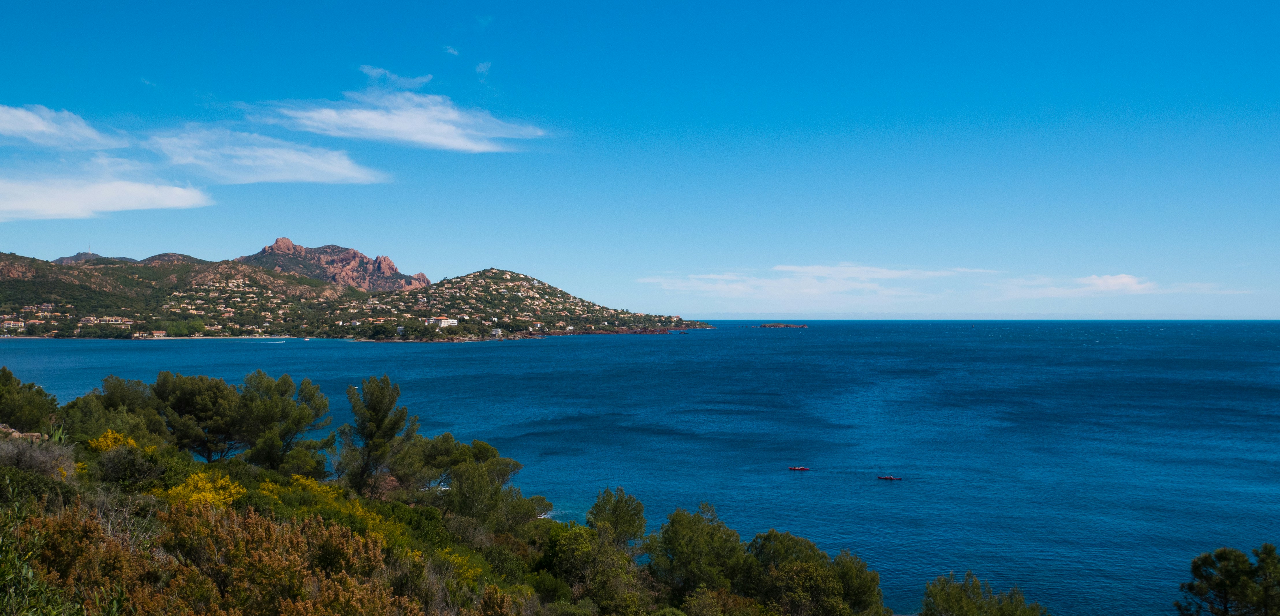 green trees near blue sea under blue sky during daytime