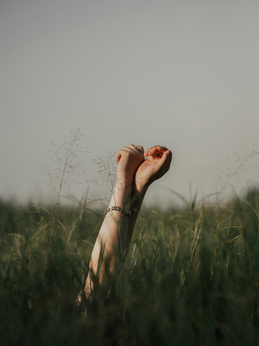 person wearing silver bracelet on green grass field