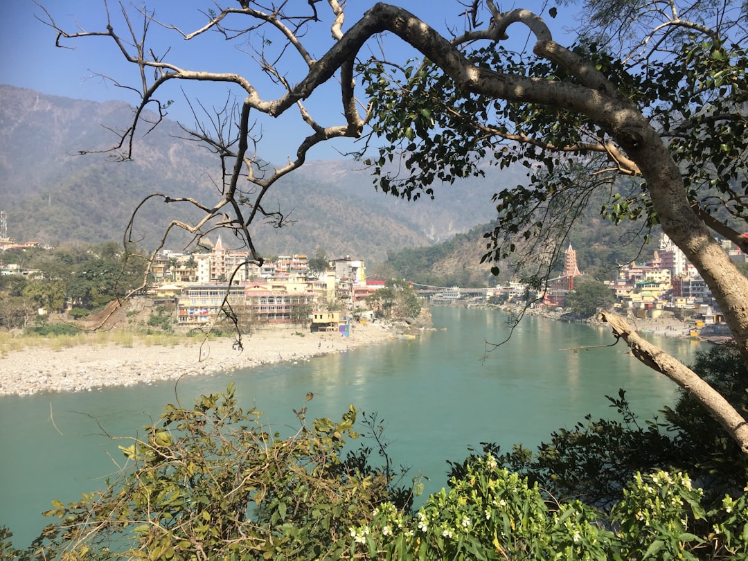 Nature reserve photo spot Laxman Jhula Jim Corbett National Park