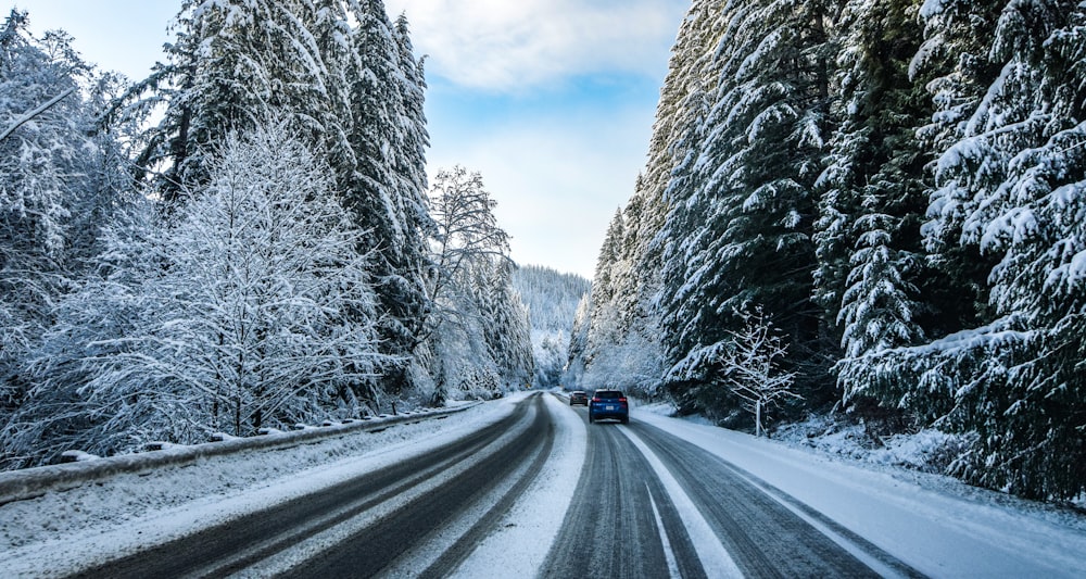 black car on road between trees covered with snow during daytime