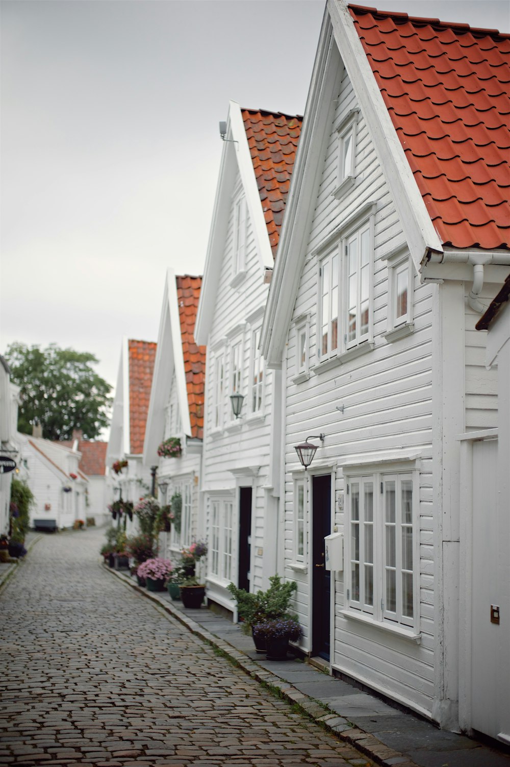 white and brown concrete house during daytime