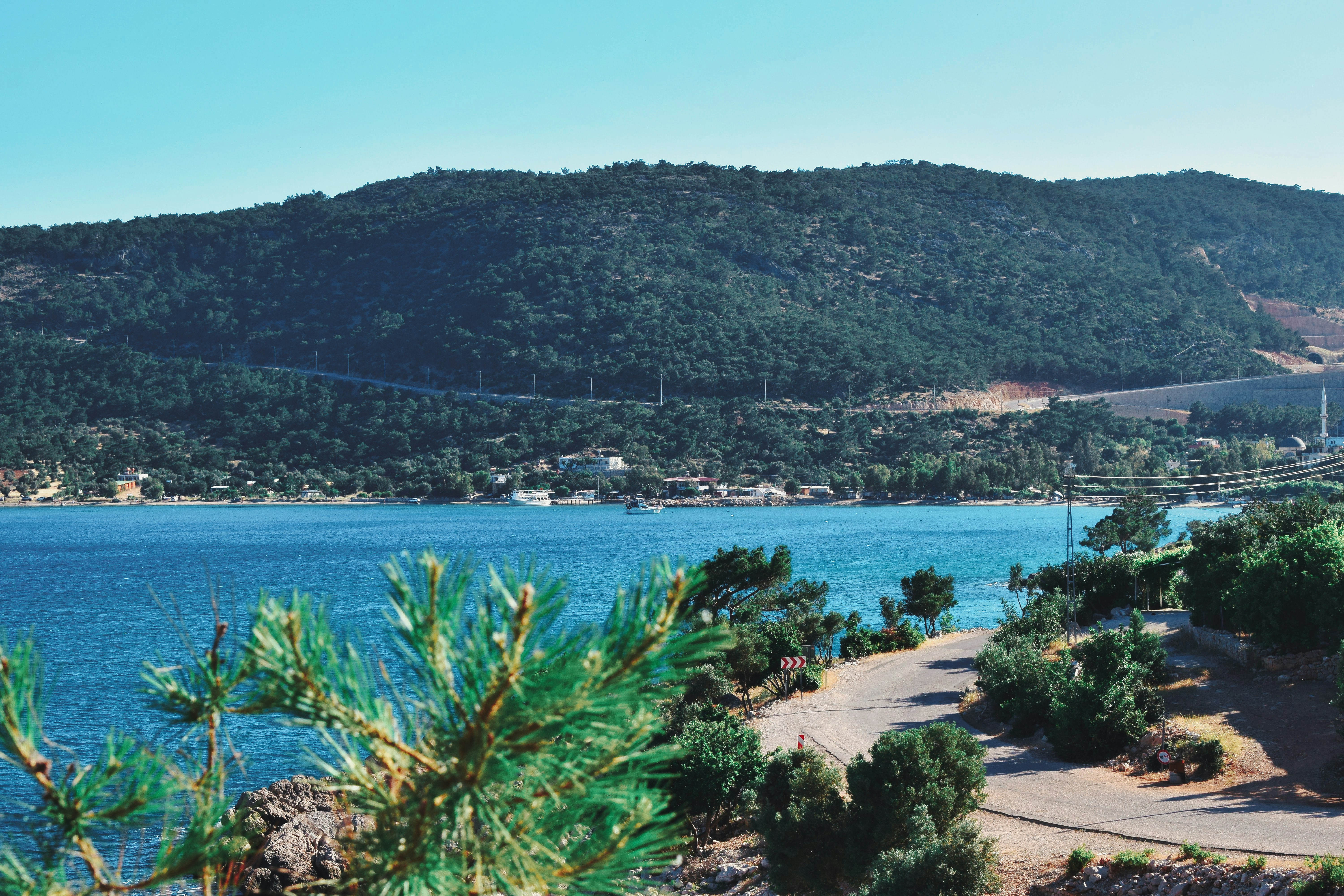 Photo by devmustafakucuk