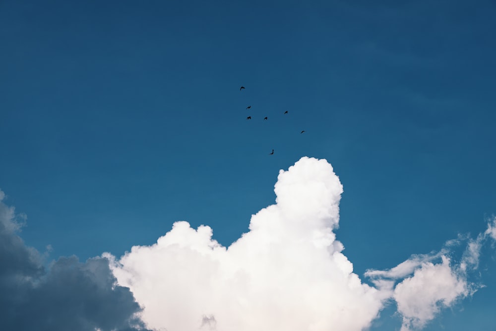 white clouds and blue sky during daytime