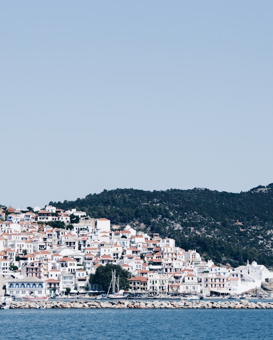 white and brown concrete buildings near mountain during daytime in Skopelos Greece