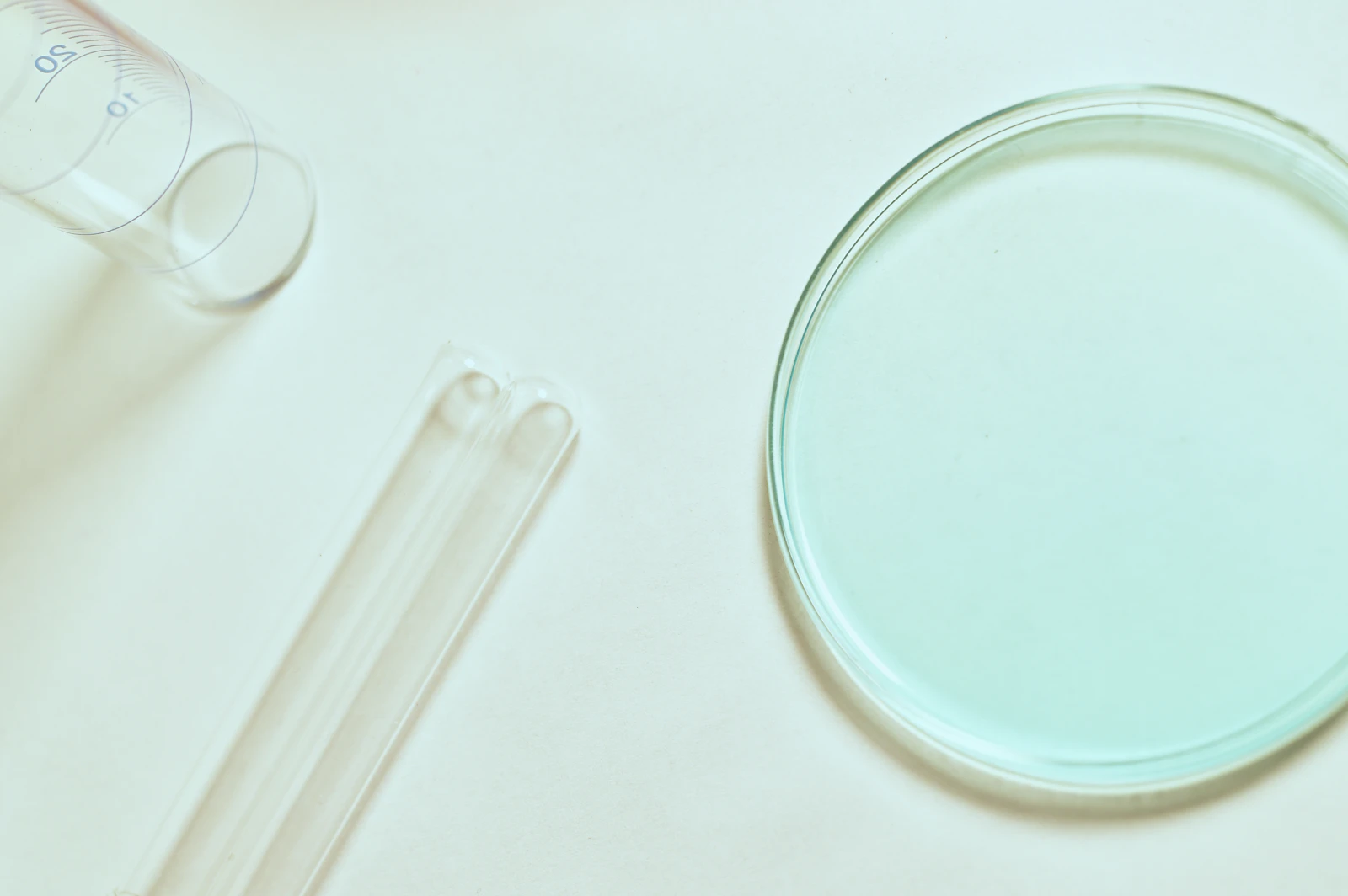 A clear round petri dish on a white laboratory table