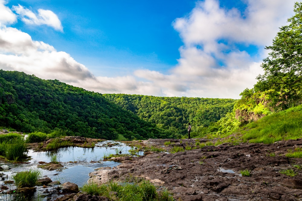 Arbres verts et rivière sous le ciel bleu et les nuages blancs pendant la journée