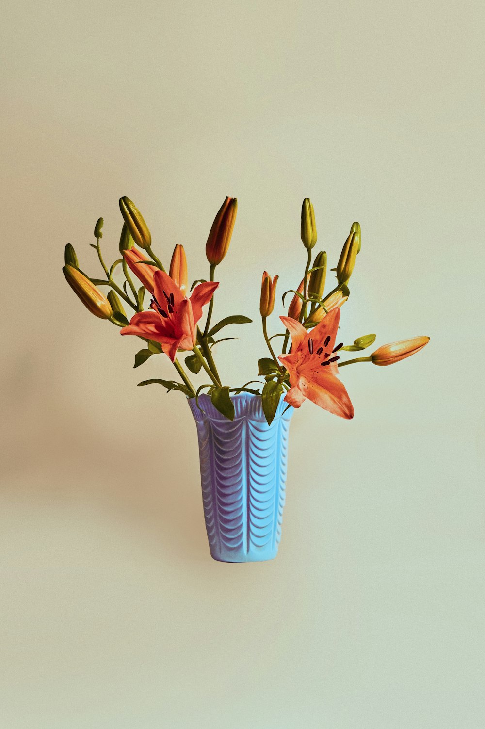 red and yellow flowers in blue and white vase