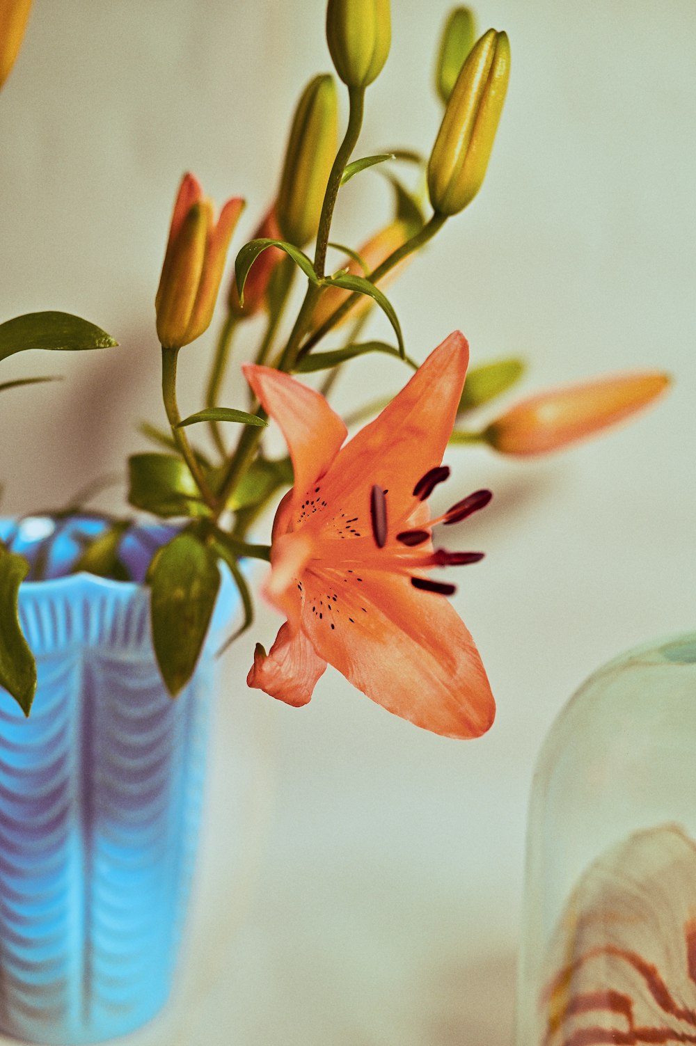 red flower in blue and white striped vase