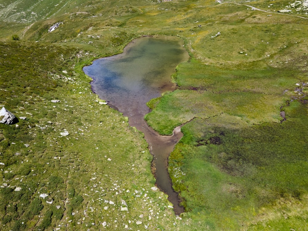 green grass field and body of water