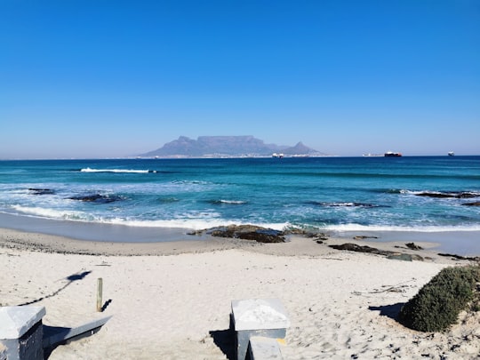 white and blue beach umbrellas on white sand beach during daytime in Bloubergstrand South Africa