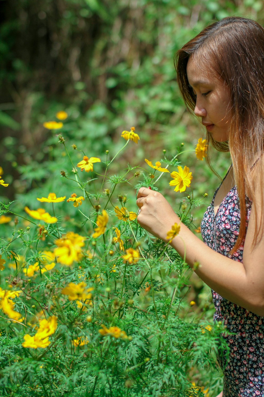 woman in blue and white floral dress holding yellow flower