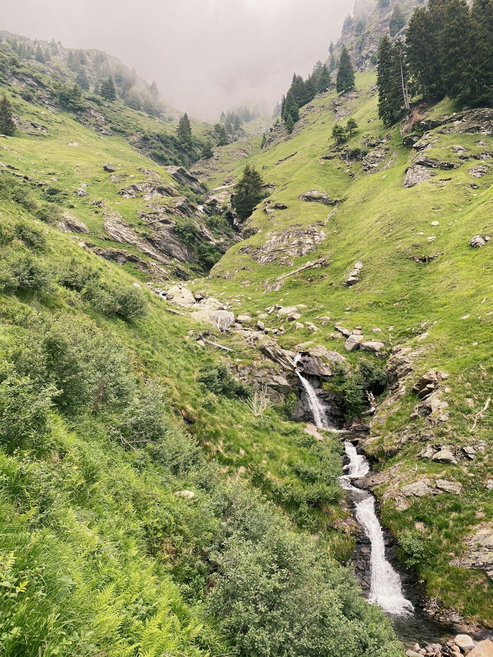 green grass field and water falls