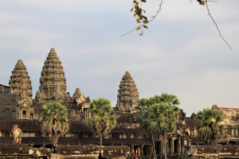 Cafes With the Fastest Wifi in Siem Reap (Speeds Actually Tested)