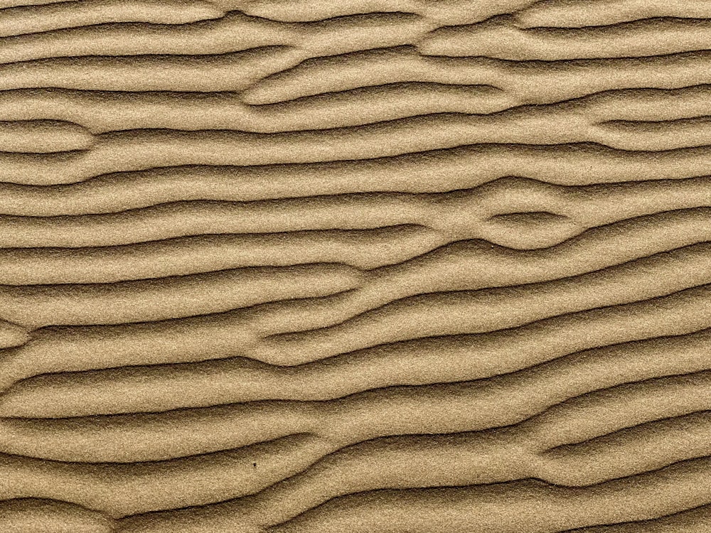 sable brun avec sable brun