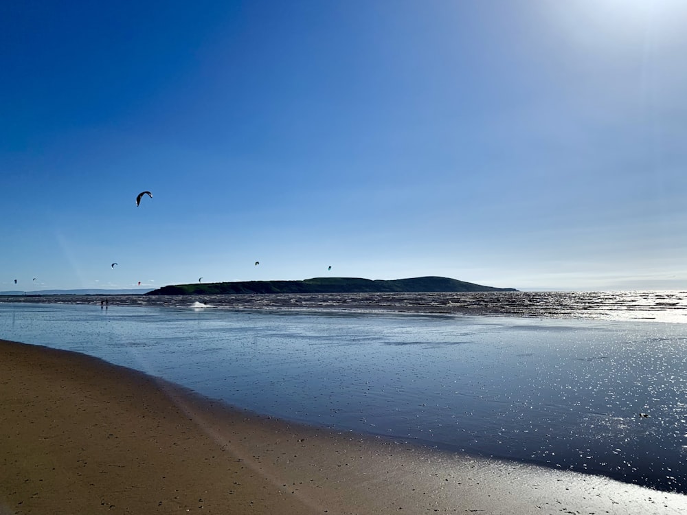 person walking on beach during daytime