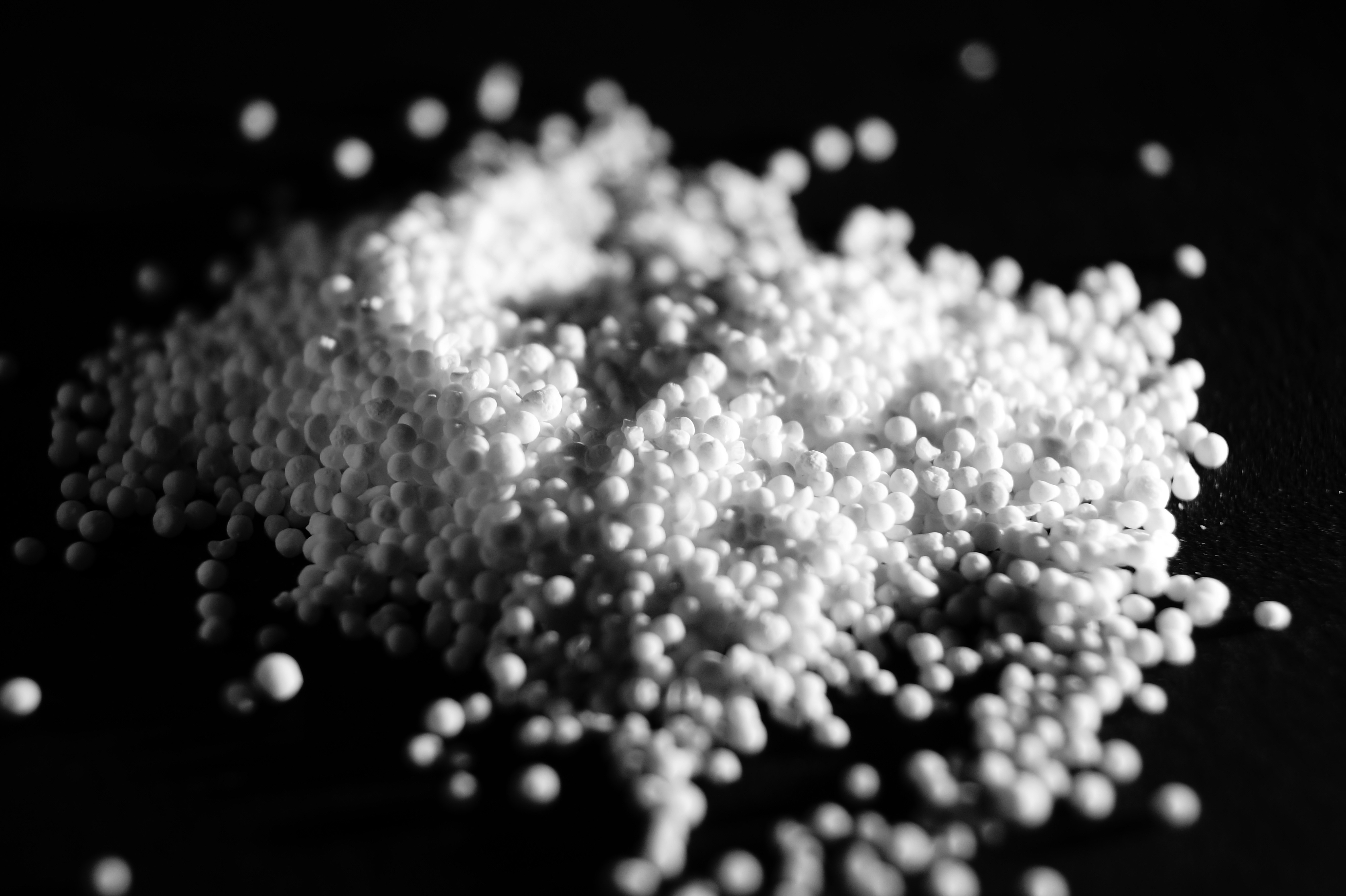 Photo by yingchih_hao