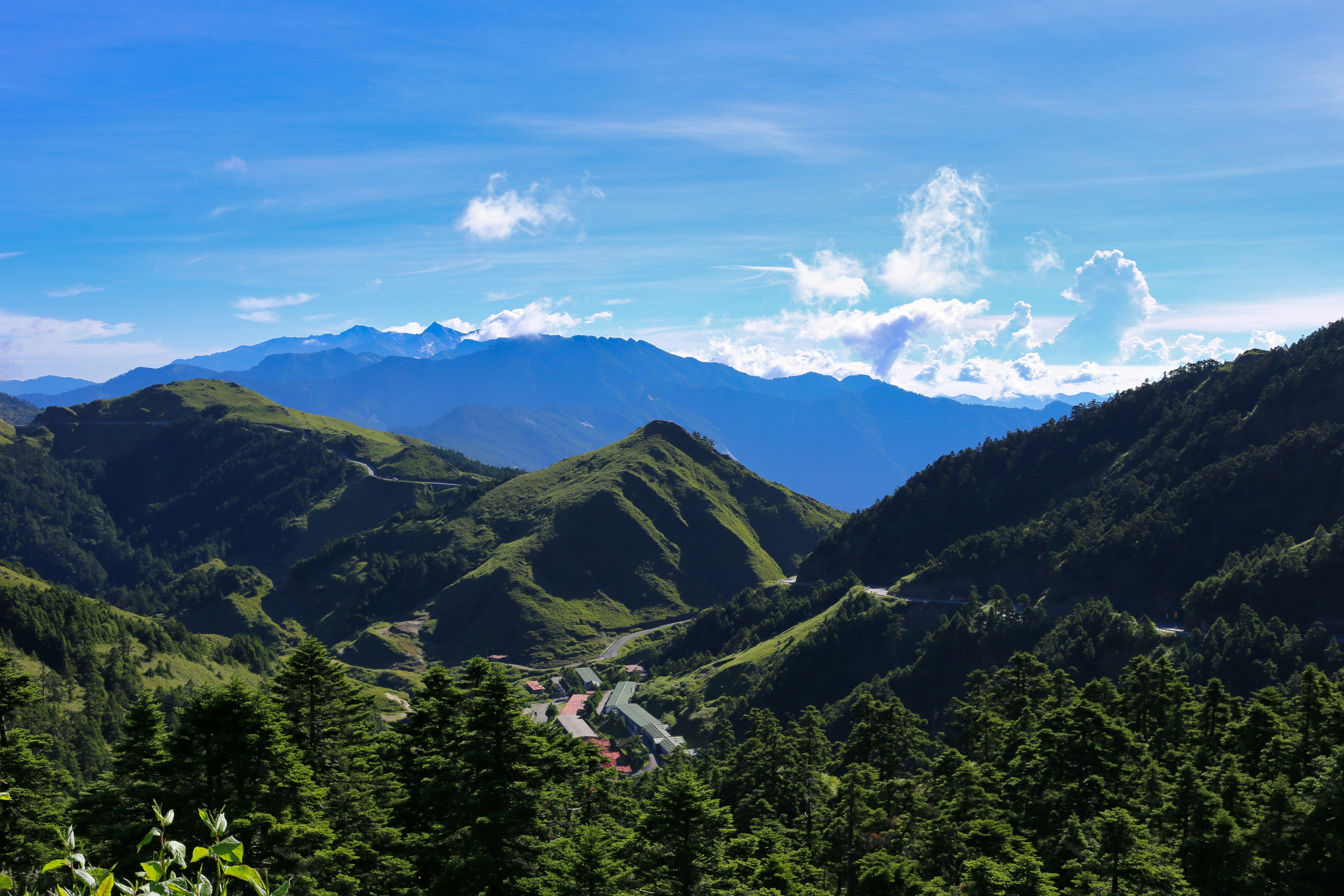 green trees on mountain under blue sky during daytime
