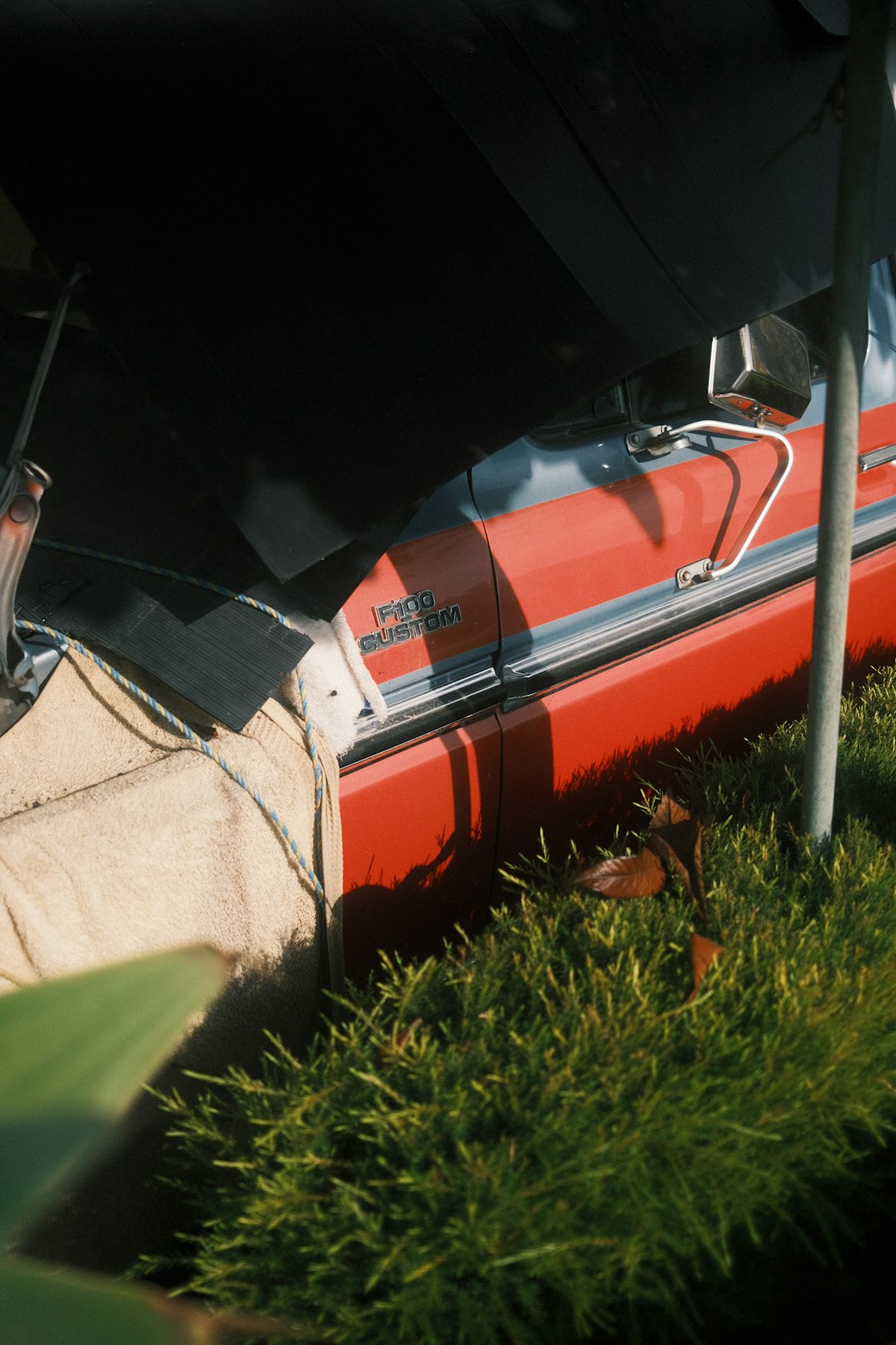 red and white car on green grass during daytime