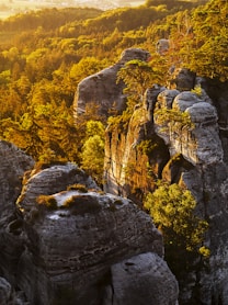 brown rocky mountain with green trees during daytime