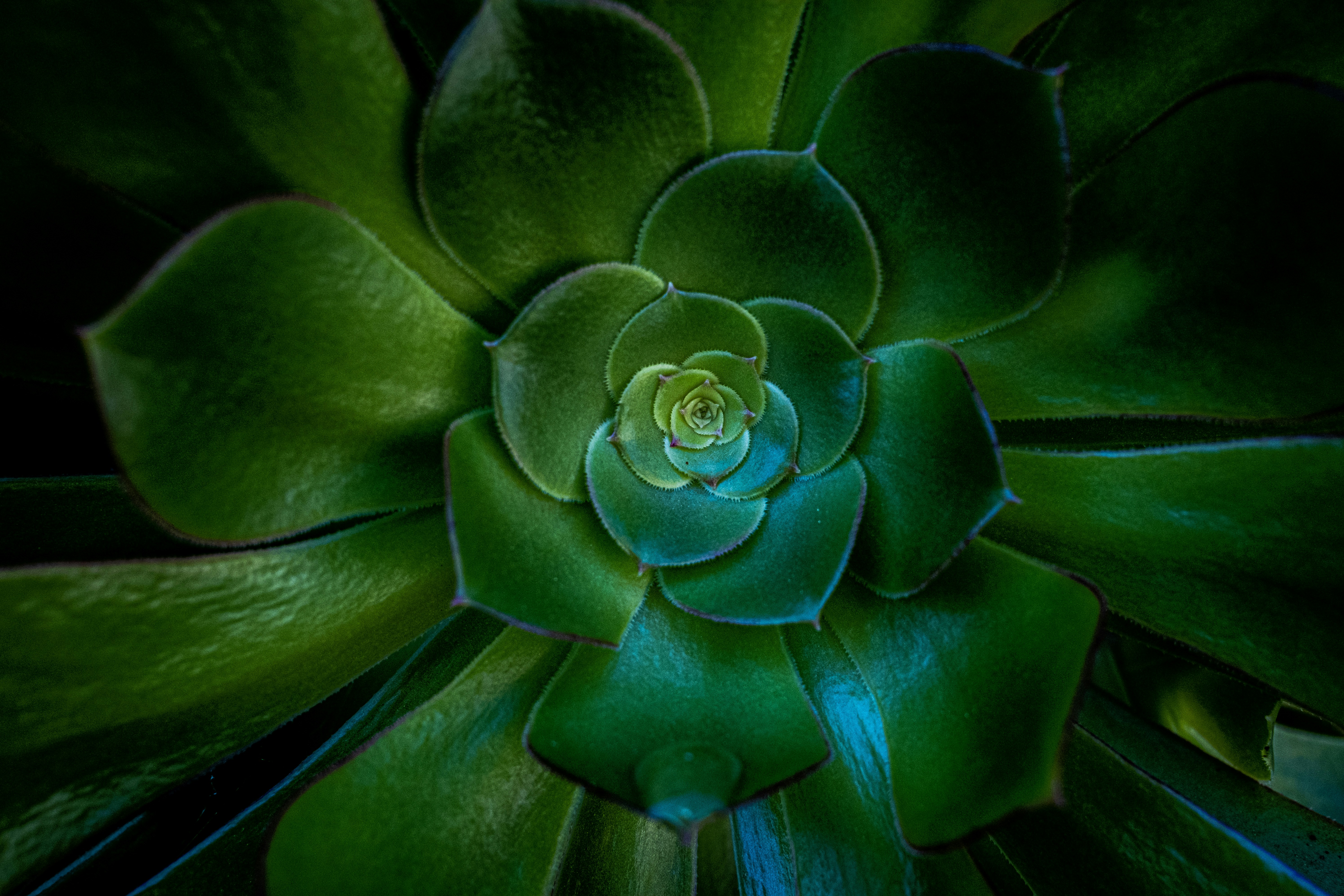 Photo by msohebzaidi