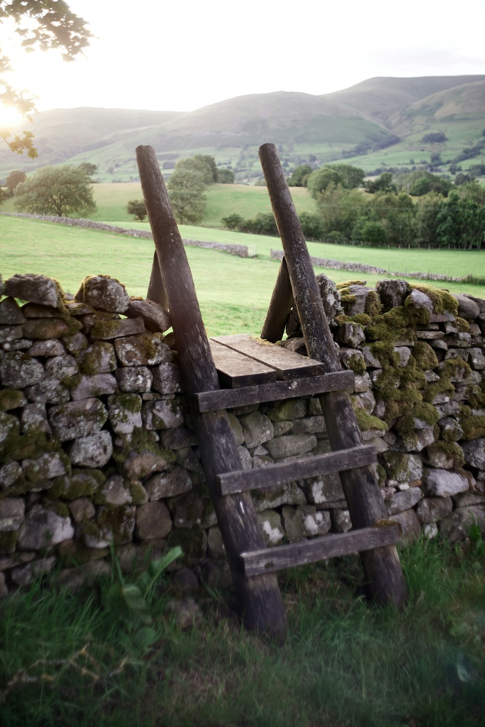 brown wooden fence on green grass field during daytime