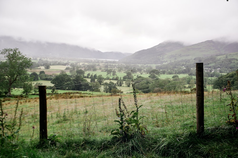 green grass field near green mountains during daytime