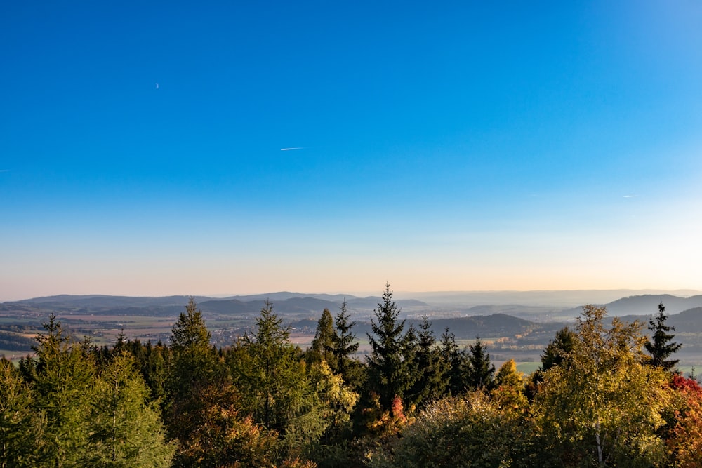 green trees and mountains during daytime