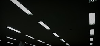 Rectangular fluorescent lights are evenly distributed across a dark ceiling, creating a geometric pattern with a stark contrast between the illuminated fixtures and the dark background.