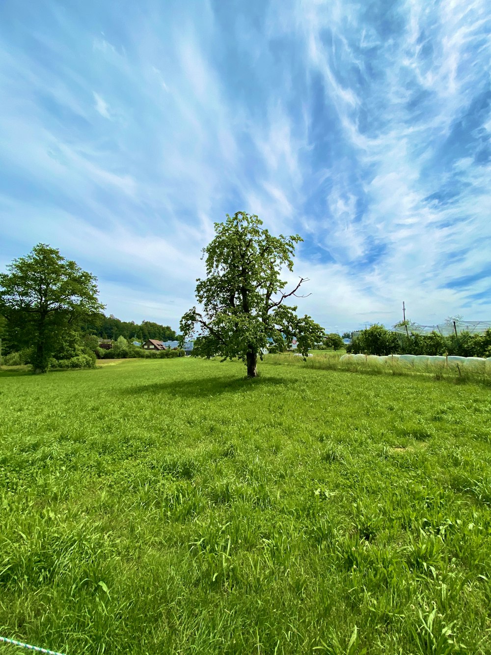 campo de hierba verde con árboles verdes bajo el cielo azul y nubes blancas durante el día