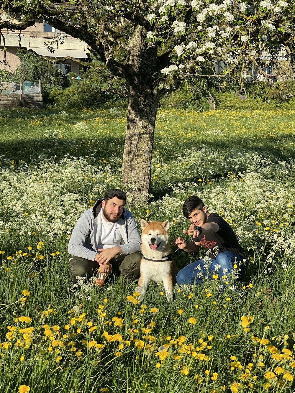 Mann und Frau sitzen auf grünem Rasen mit braun-weißem kurzhaarigem Hund während