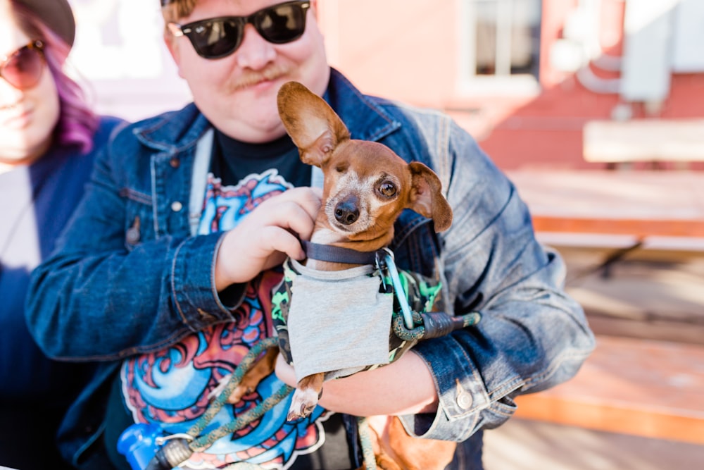 woman in blue denim jacket holding brown short coated dog